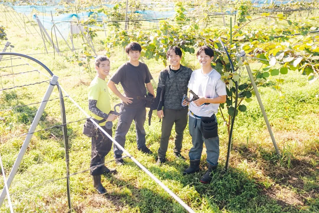 キウイ畑に並ぶ4人のスタッフ